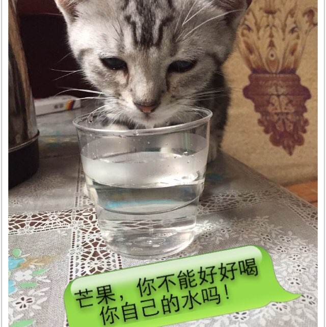 日本立正大学毕业证办理